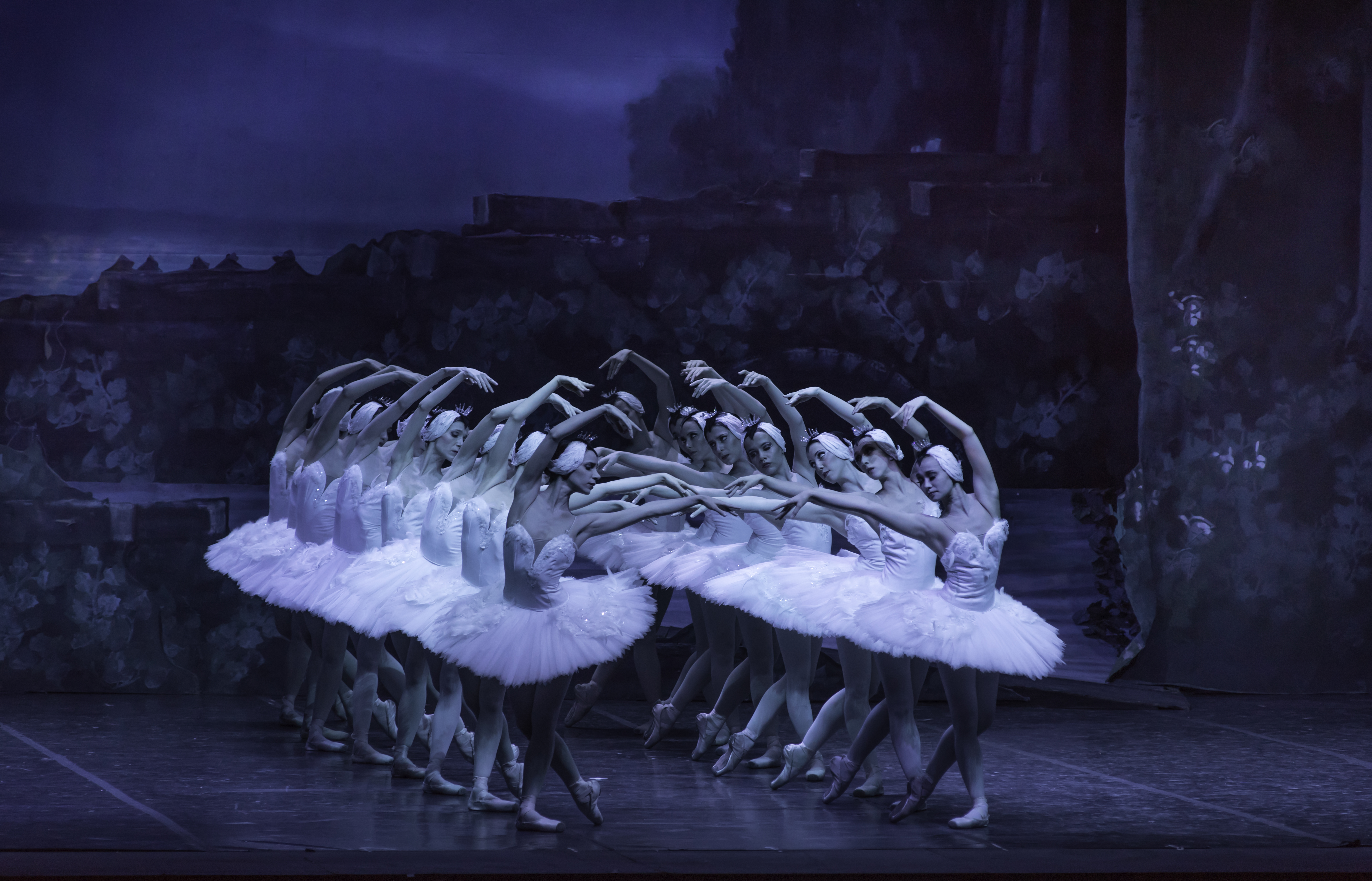 El Lago de los Cisnes 7
